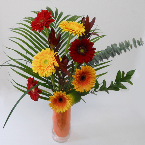 7 Gerberas